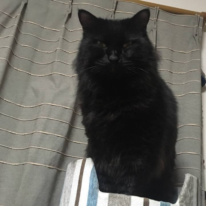 2d94d336 2c92 41db bfb3 36971c4ed363 1574170192988