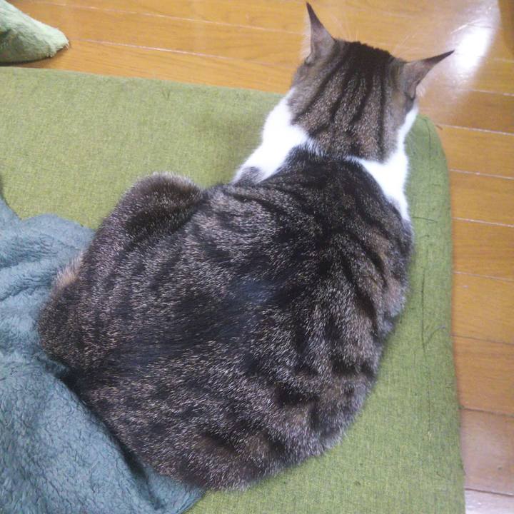 2d94f0c3 9a37 4d95 802e 1d2fb495642a 1649993240163