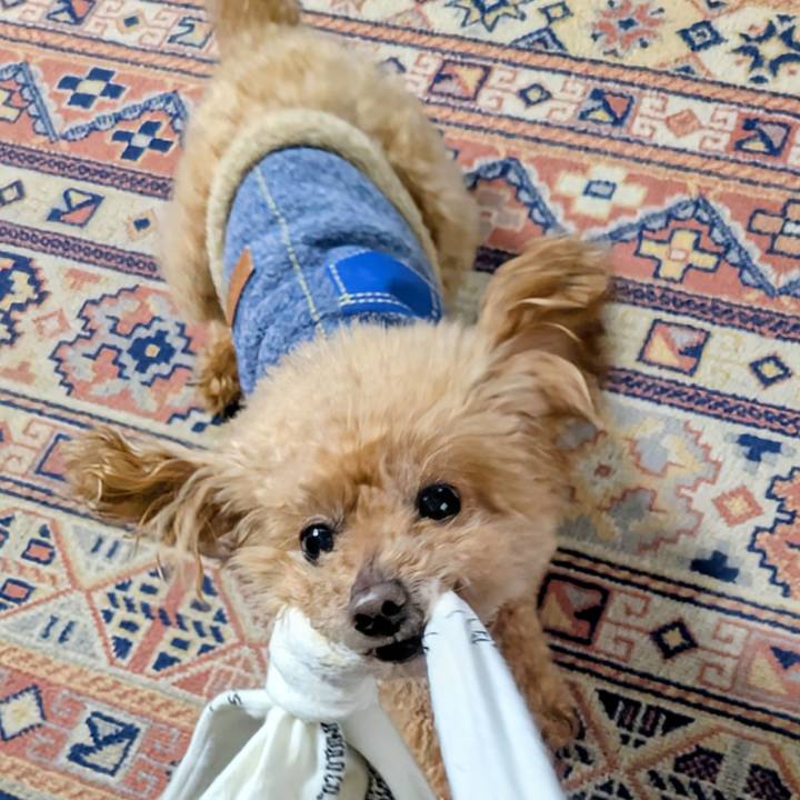 2d951403 1c72 4d1e 877e 43ee38c14a70 1773891013980