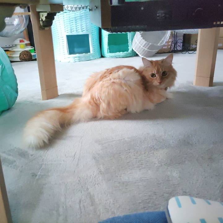 2d9545eb 072a 44ae 8d19 92d4b6d20697 1686648475742