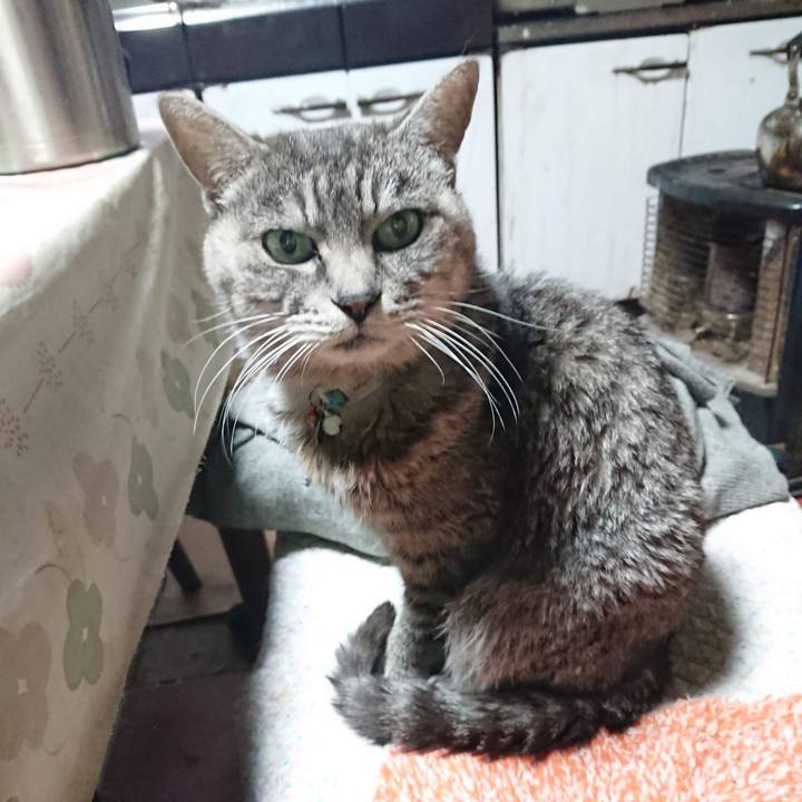 2d957323 481f 4088 a25a 4082a449cec8 1606769151929