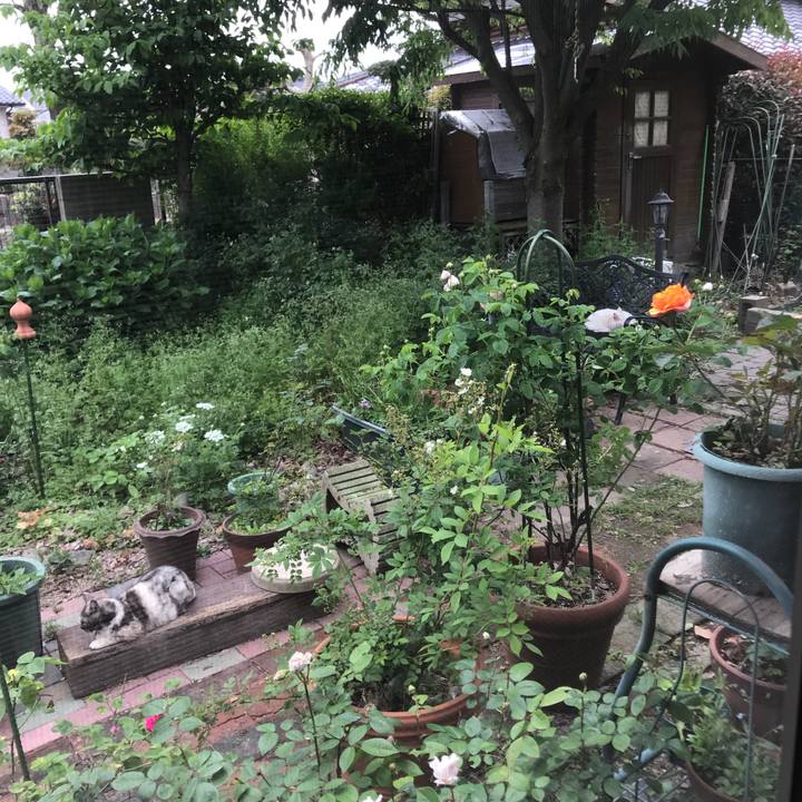 2d95830d d0ba 40d2 a516 1326bab77856 1524718607976