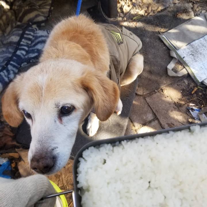 2d95c800 b174 4fa4 9d8d 57399b04a60d 1674350854330