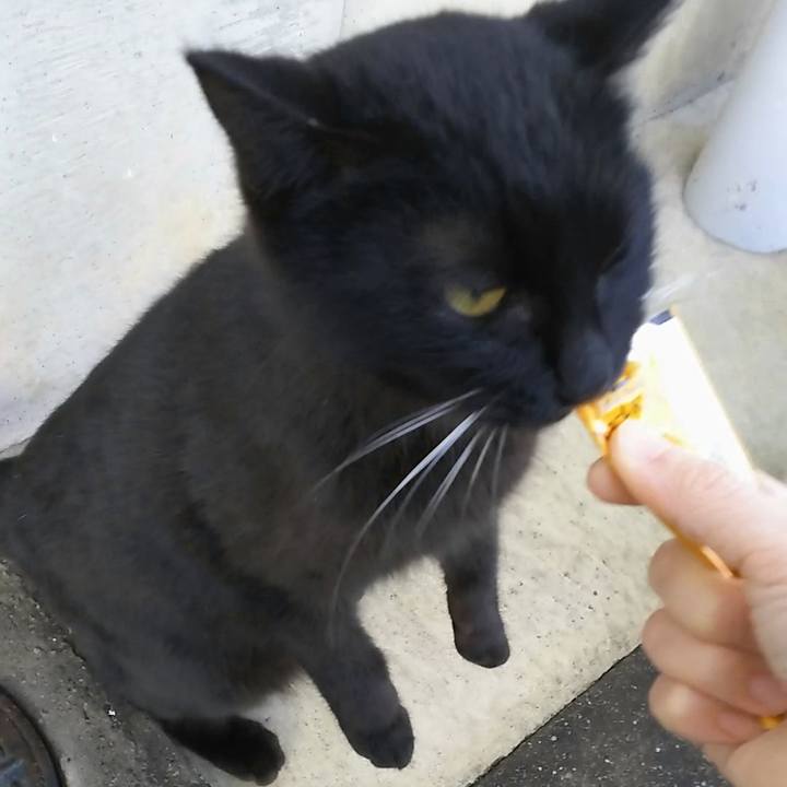 2d95dede aac3 454f 91f2 ad544504d528 1551959129512