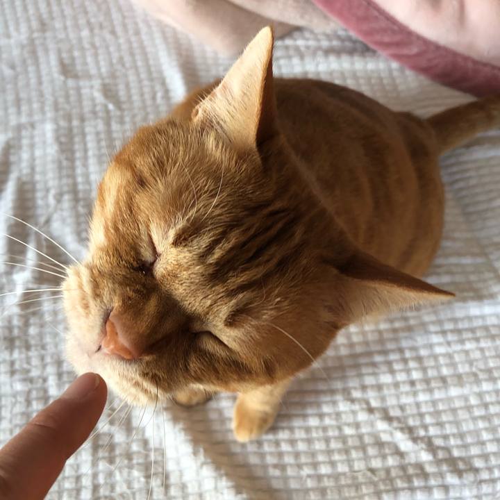 2d96025d 3da3 4cb9 9004 24c2dbddcd85 1647986986403