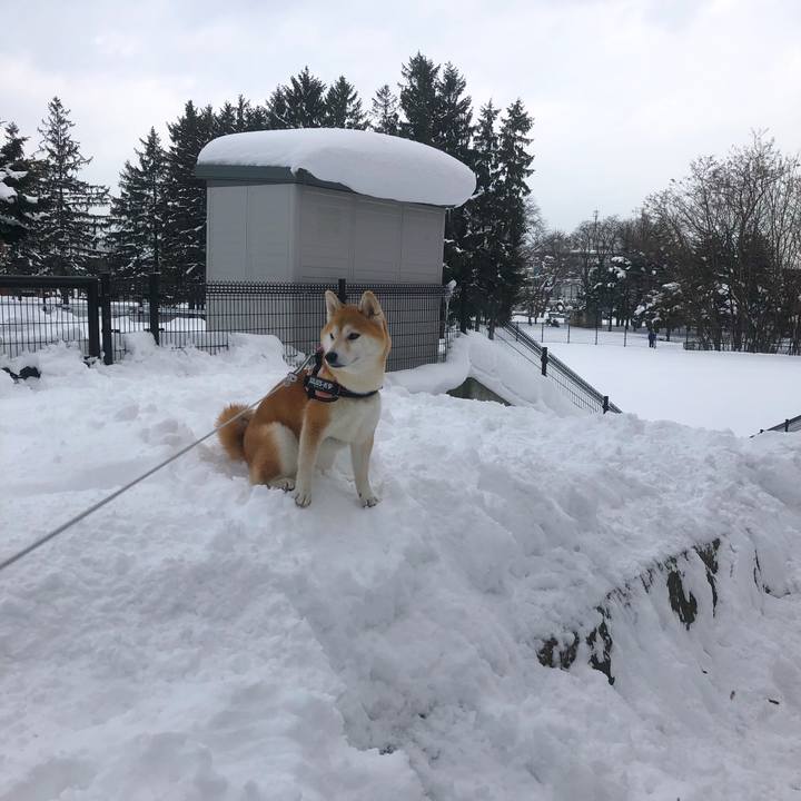 2d960276 01a3 49c8 86e4 a3685a8ebb56 1581481545831