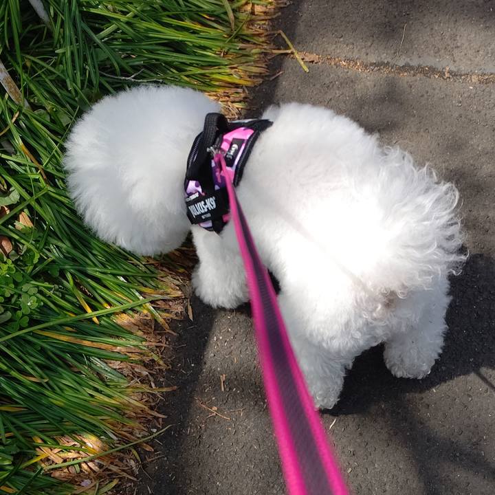 2d961360 8d61 45c8 8017 2bff97aa6987 1712060698200