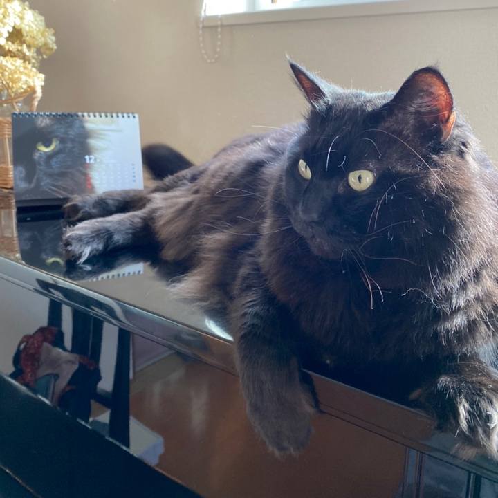 2d96ca7e d09c 479a ad22 f0db3ad3e23c 1638761561208