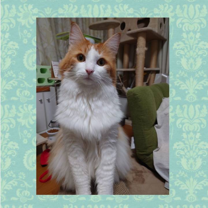 2d96cd27 c4e4 44dc 8bf9 5c00b59f655f 1604625118547