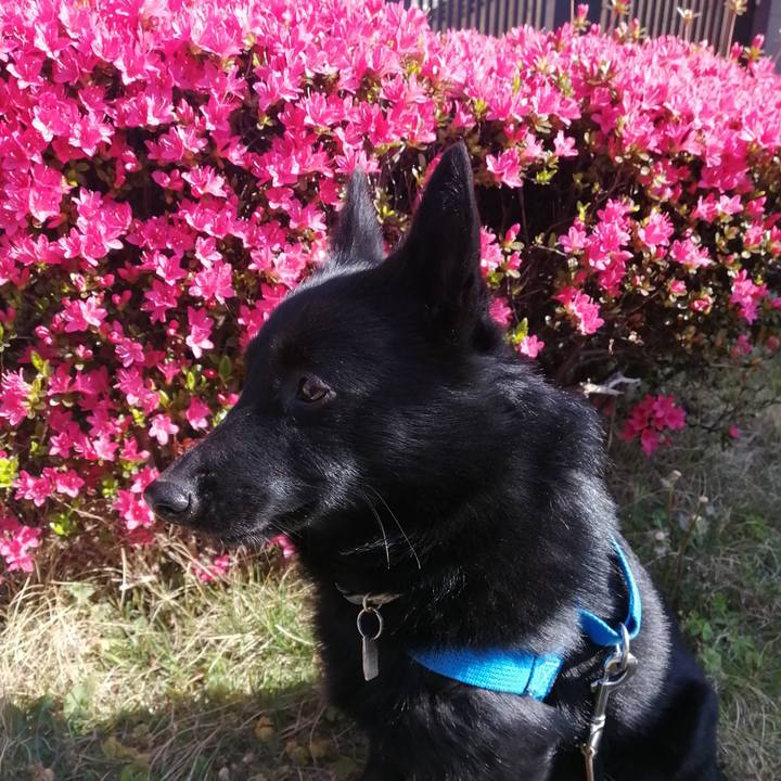 2d96d5d8 da36 4b3e aa83 0f3dd641e2b3 1619041671242