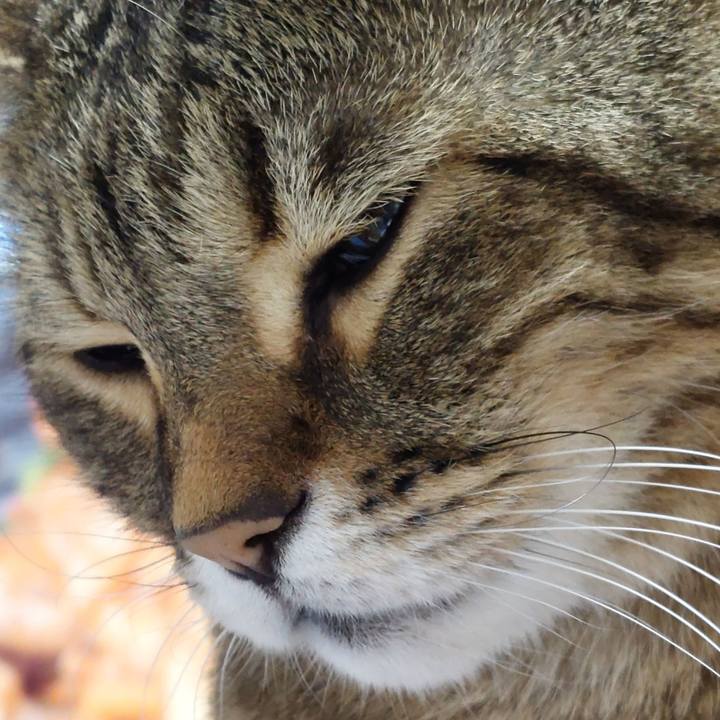 2d96ebc5 b36a 4128 928b 64d067ae7362 1730713893463