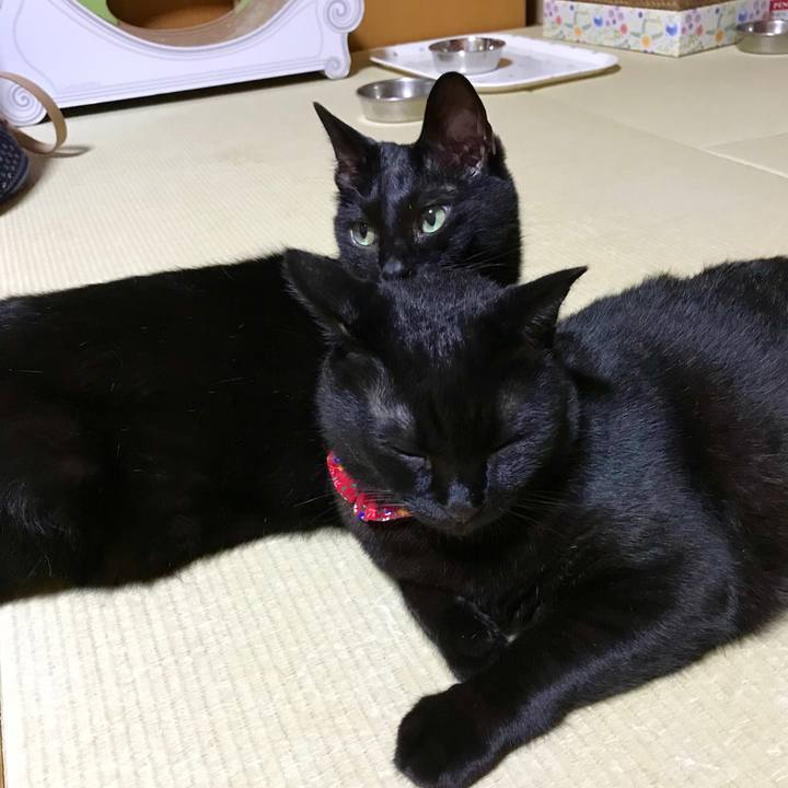 2d970a90 5d96 451a 9468 a7032e347137 1529670463213