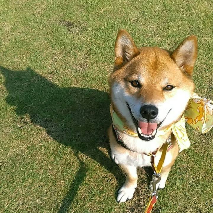 2d970e51 7051 43fc a01e 9b281ecf183f 1532128464706