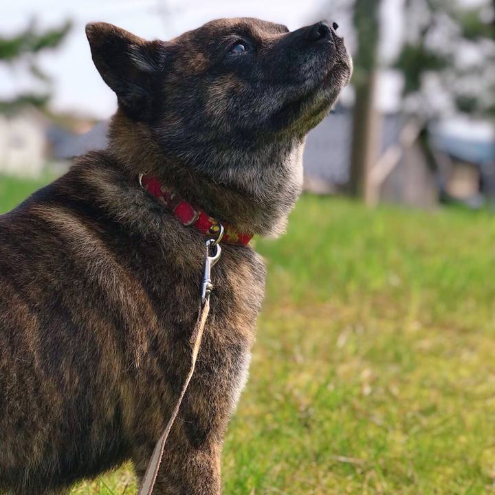 2d97436a e93e 46d7 bb03 797bf7ff7612 1556532102821