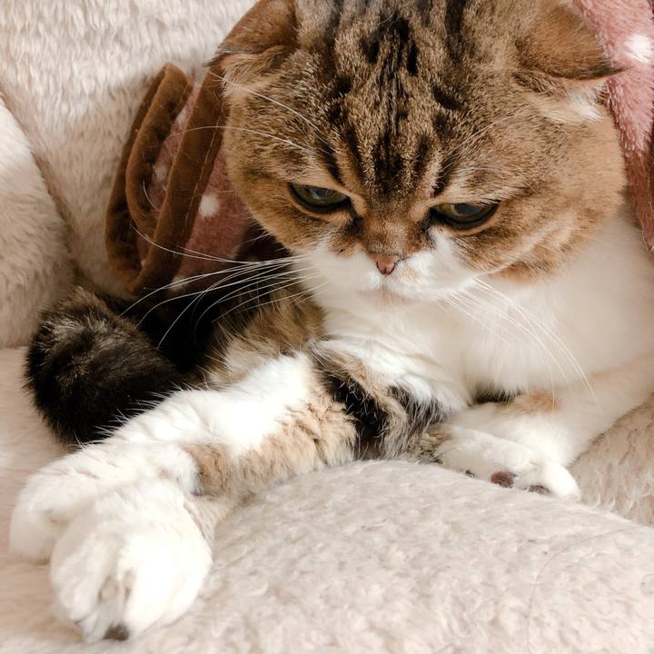 2d974dee 11b8 45af bcbb f13e19afbbfa 1579276247738