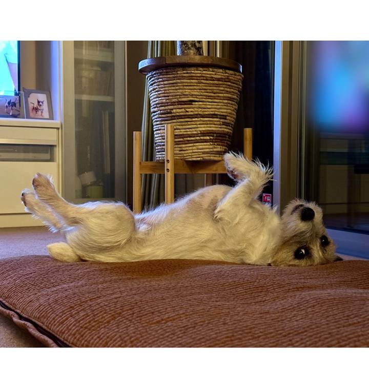 2d977e4e 0bf6 4504 aead f02d1e628f19 1753625025437