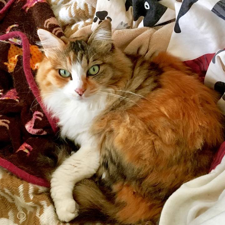 2d9793b8 54e0 427e a3e6 8bd61d744c2f 1560567047664