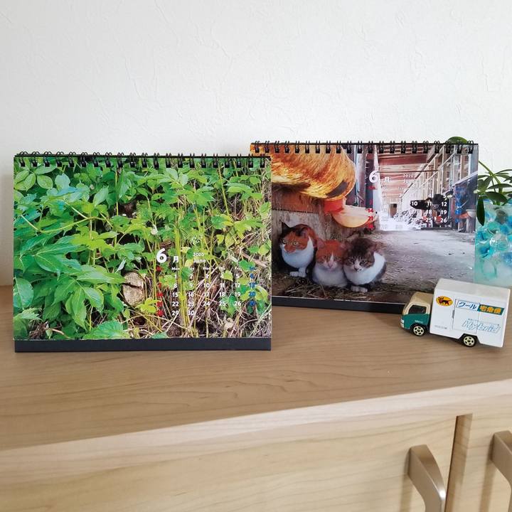 2d97d834 0c9f 45f3 a249 2ad0b104b9b1 1590964590481