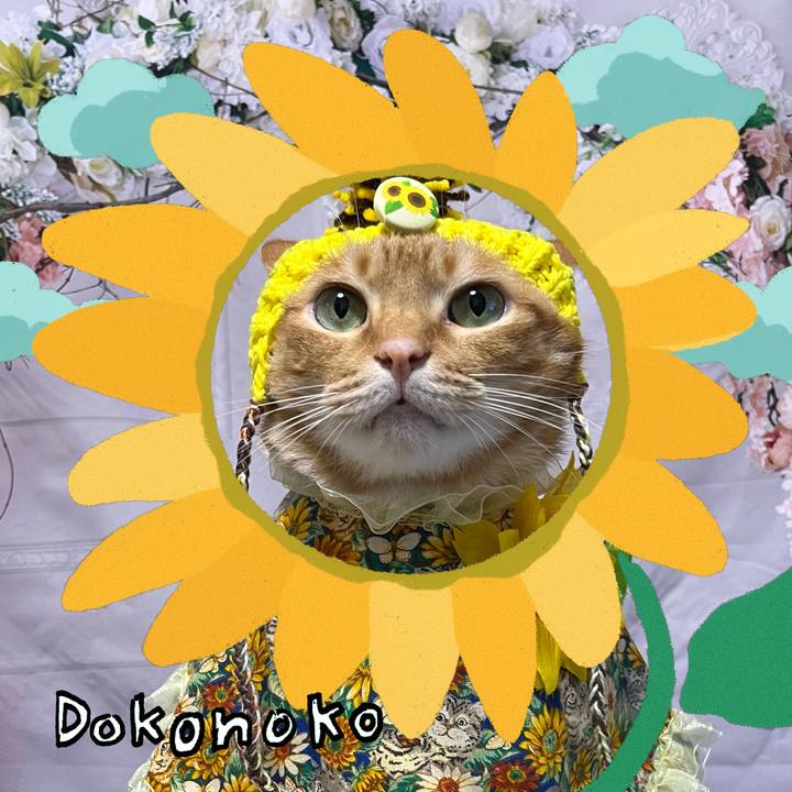 2d97e0f6 5db5 4c82 bce7 9b09e85d4cb1 1723191773976