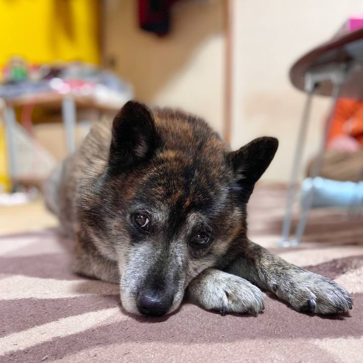 2d97fa2b e842 4ed6 8b43 cd2a4c4cd28f 1647740430800