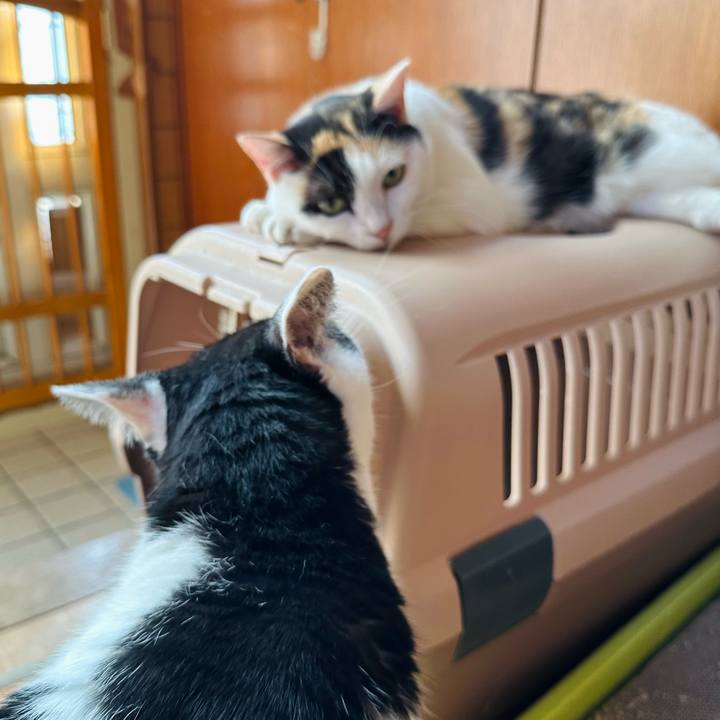 2d98254f 6dae 47e6 9c20 72c97042302b 1725155025044