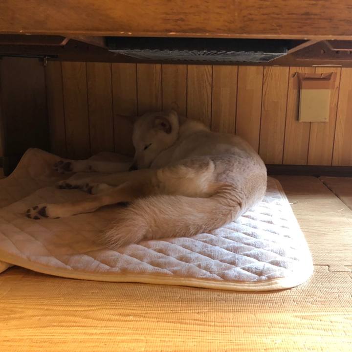 2d983cbb 871b 4b46 a70f 47e8412fe59c 1648899555714