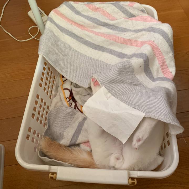 2d984bd1 85ee 4916 b965 4430db4208fb 1610069908261