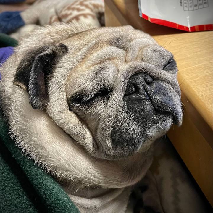 2d986e06 9bba 4d95 bbaf 69bfe209215d 1768958997663