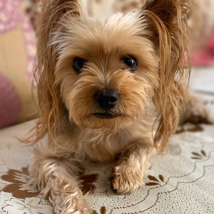 2d98936b 9dc6 4b3d 82f3 f63b17cab6bb 1538970909502