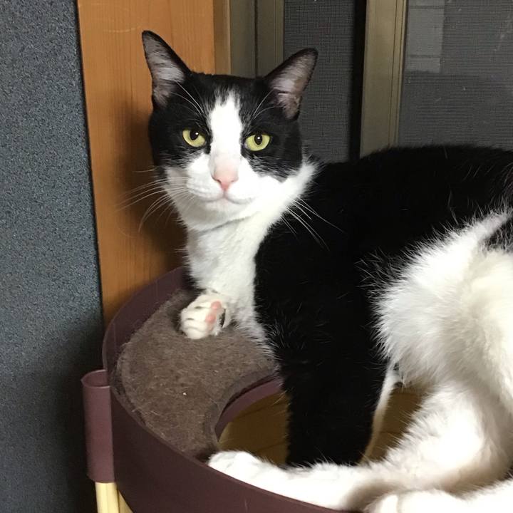 2d989a74 5ce0 4e2b a42b b16dbc0eab6f 1751026668561