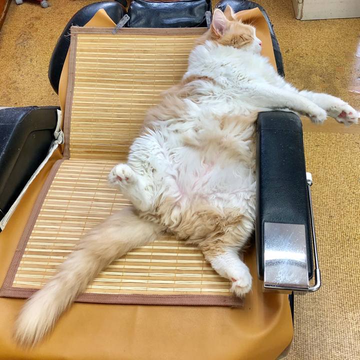 2d989bf7 72c0 4d64 9b87 a6d548ef8236 1546221260216