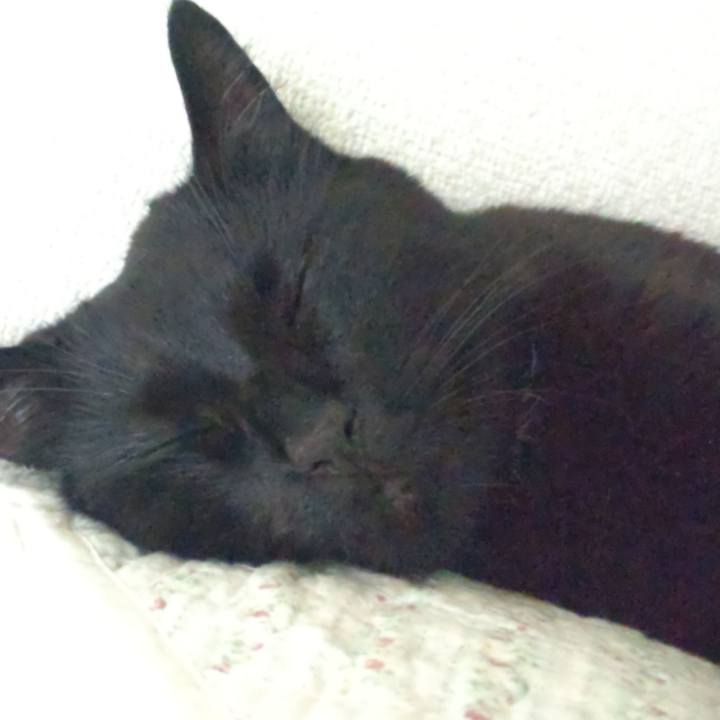 2d98a3c9 1928 4c07 9728 4ef36b6d0149 1690179767526