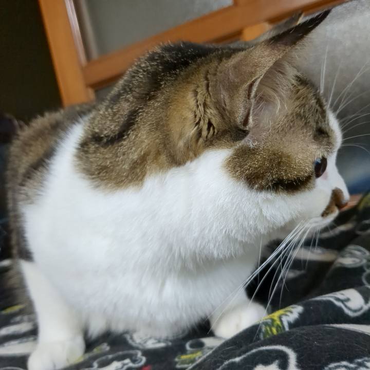 2d98a9c4 a694 4dbf ac53 c0b0304a8045 1669719395186