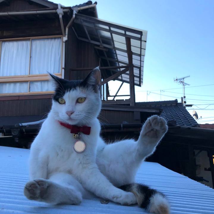 2d98c078 d30f 4abd 83b5 33f37a001e71 1633820693578