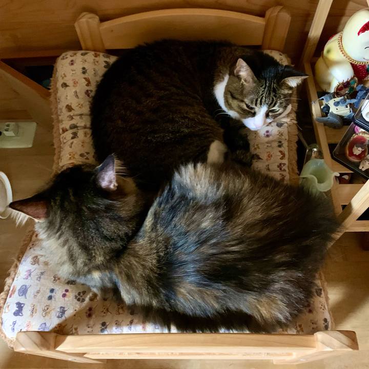 2d98c61d a1aa 468b a6ce 90e300cca74d 1654906250413