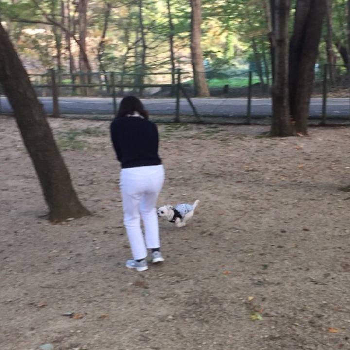 2d98e6cb b277 4569 a99a aa4310191c01 1509451639563