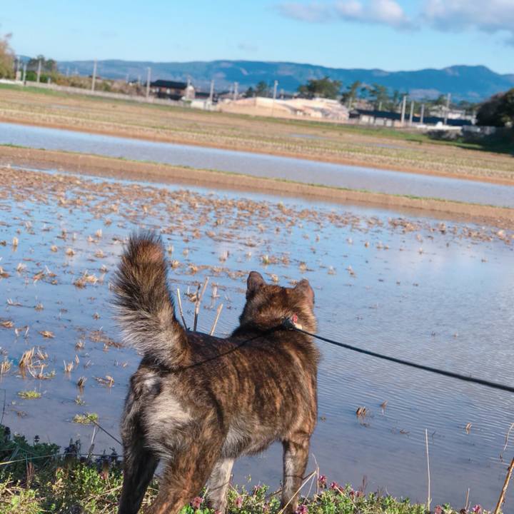 2d9903d1 8253 46d9 b315 1e9ff4f7e600 1523590762032