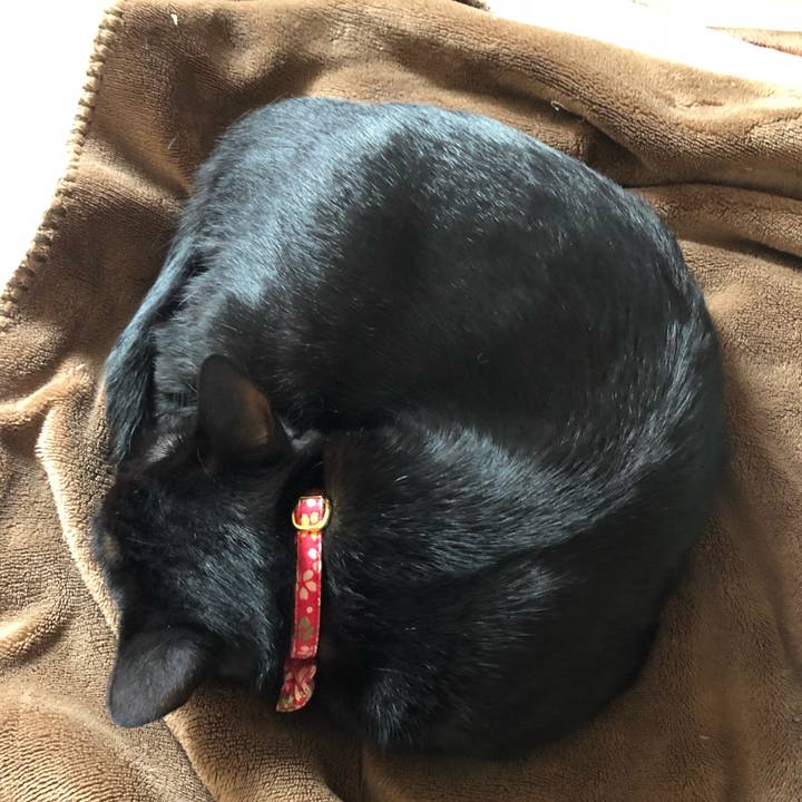 2d992bac 3850 47a9 ae86 fa87dba186e5 1528588603302