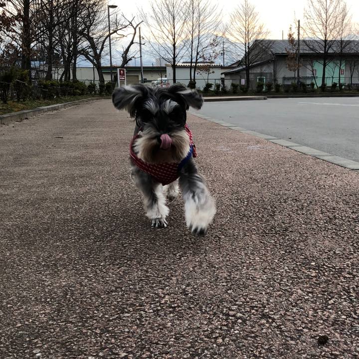 2d9947ff c2a7 4d1f 93d5 61e355dc563c 1551571173417