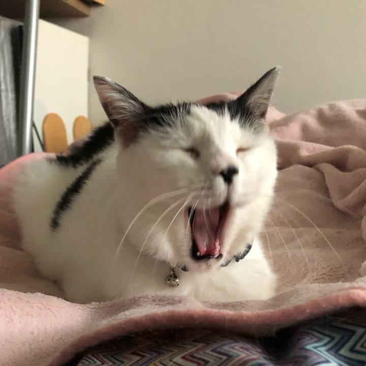 2d9955a8 e56f 460e a0b2 ba8c0ff614f4 1571712779881