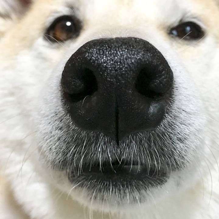 2d995a3e 4350 456a 8c66 a76c8d0d9445 1524401920023