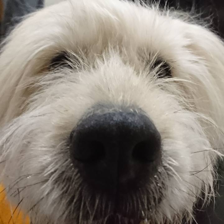 2d99f7f0 17f9 4f9e a861 96a1cf8b8395 1611392240316