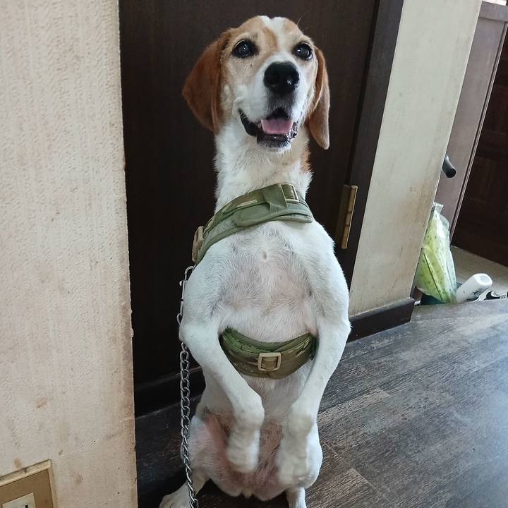 2d9a0f34 1e5f 4cdd ab58 fefa969c4f20 1754050252201