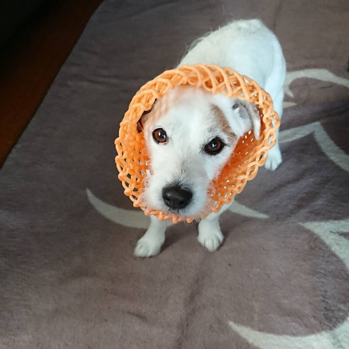 2d9a6cf6 6af9 44de b7c7 bc57c0c10c99 1557099659153