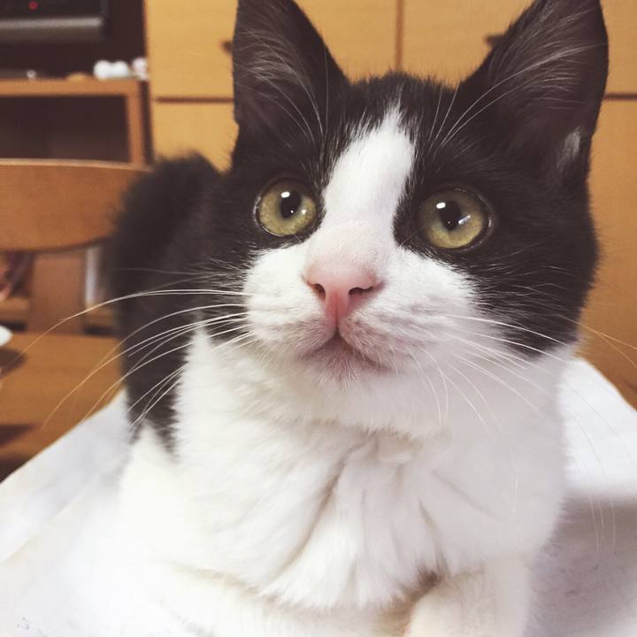 2d9a8010 226e 4edf afc8 d8bd4b62ab87 1518664372488