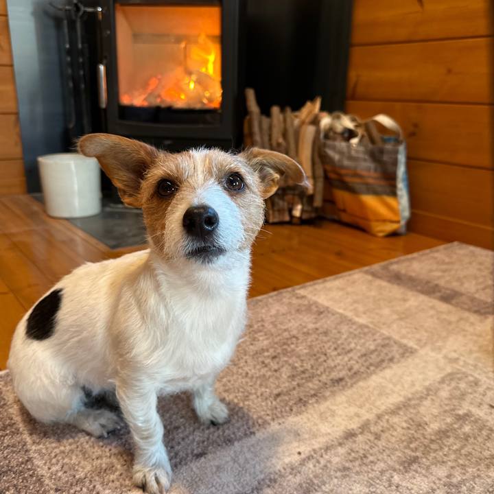 2d9a8360 02b7 47f3 aca7 baa0d18b9143 1769906233595