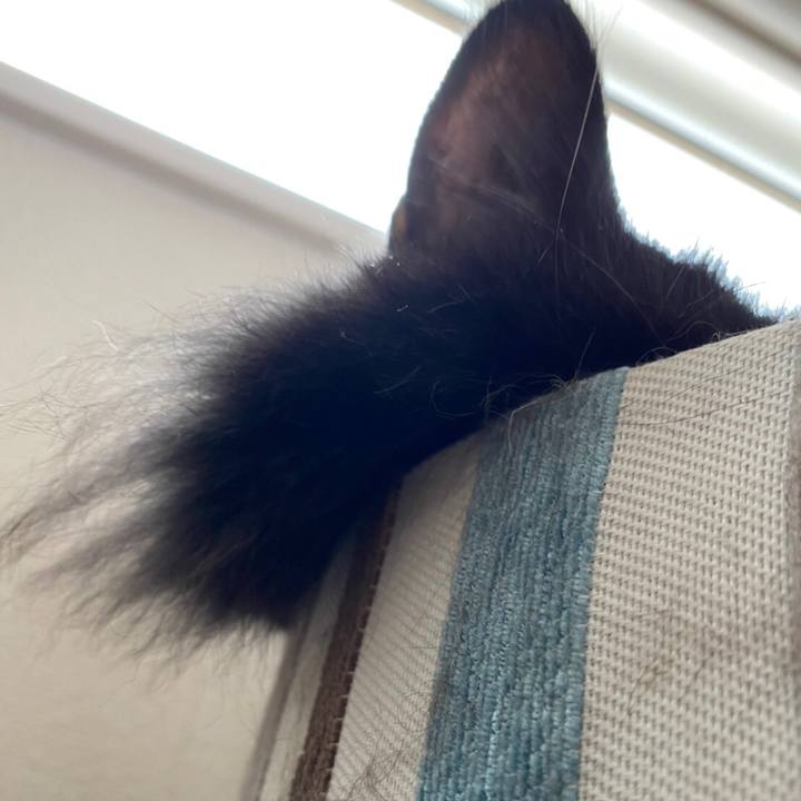 2d9aaa37 a29f 4f75 8f5c 6796dff9792f 1583414619367