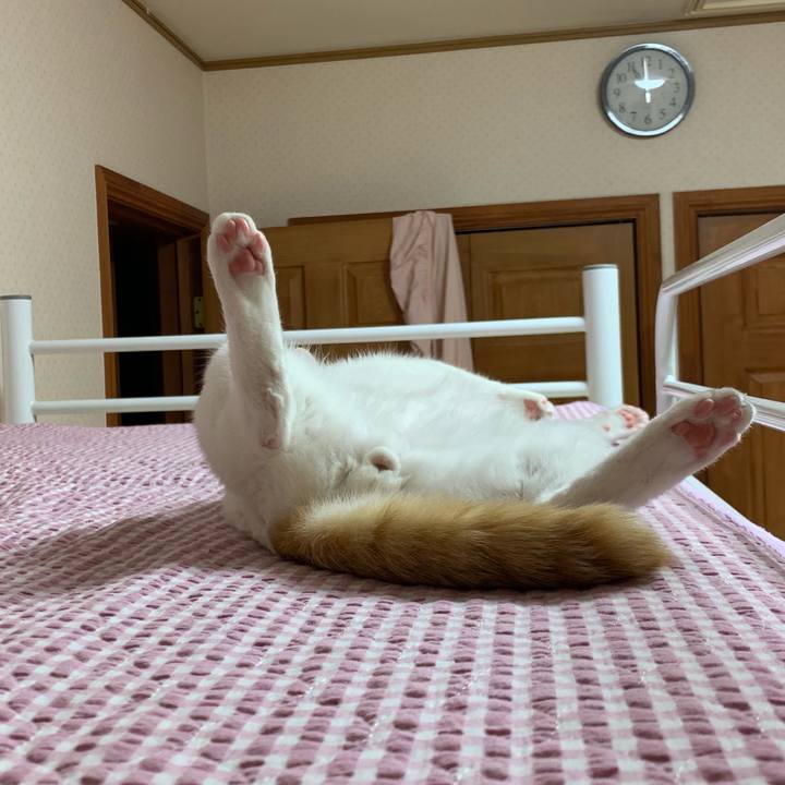 2d9abf48 78e6 4f7c a7fa 1137a08bf008 1566226561675