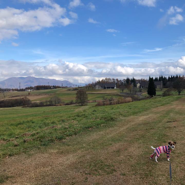 2d9abf9e 17ae 46a8 9334 fced08d5bfd6 1542191005846