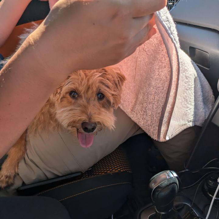 2d9ae03b 28aa 4e3c bbe7 935370fab5fc 1725772551357